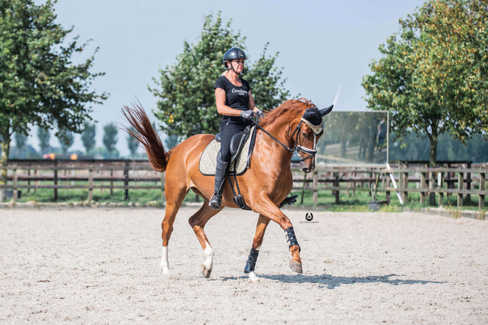 Champagne Signature Brushing Boots