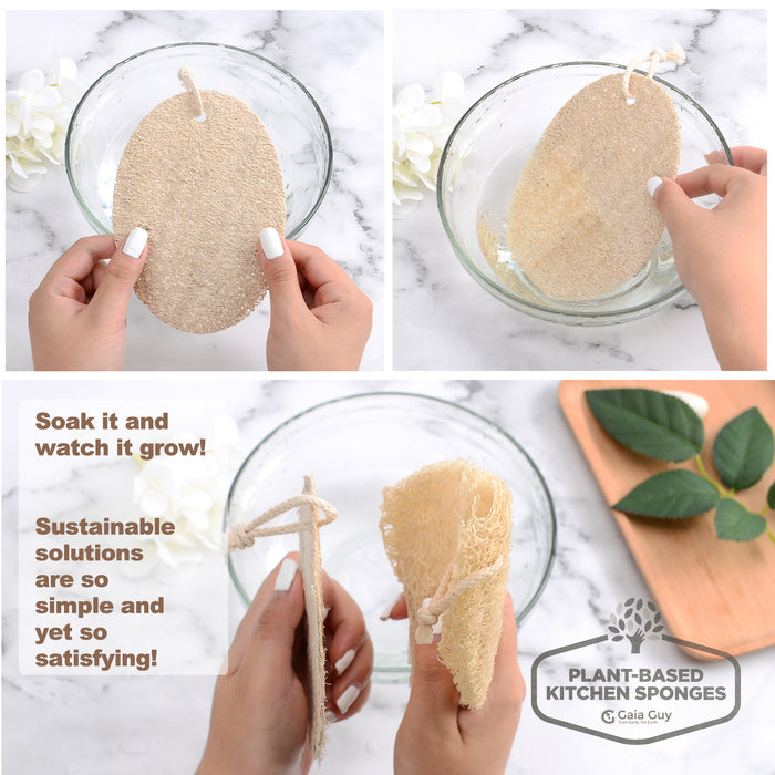 Natural Dish Sponge Value Pack, Loofah Kitchen Scrubber Scouring Pad (Plastic-Free, Nylon Free) 6 + Bonus 4 Pack! - Gaia Guy