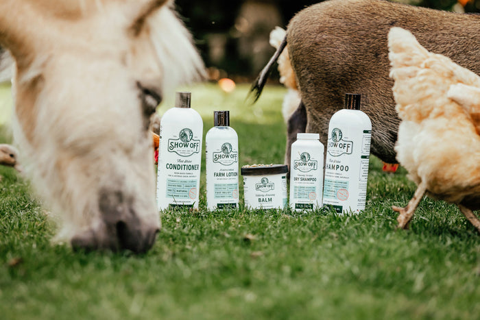 Show Off That Shine Shampoo