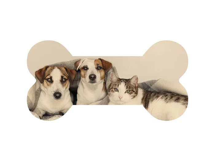 Sublimation Blanks Bone Shaped Plywood Sign w/ Stripes (25.4*12.7*1.5cm)