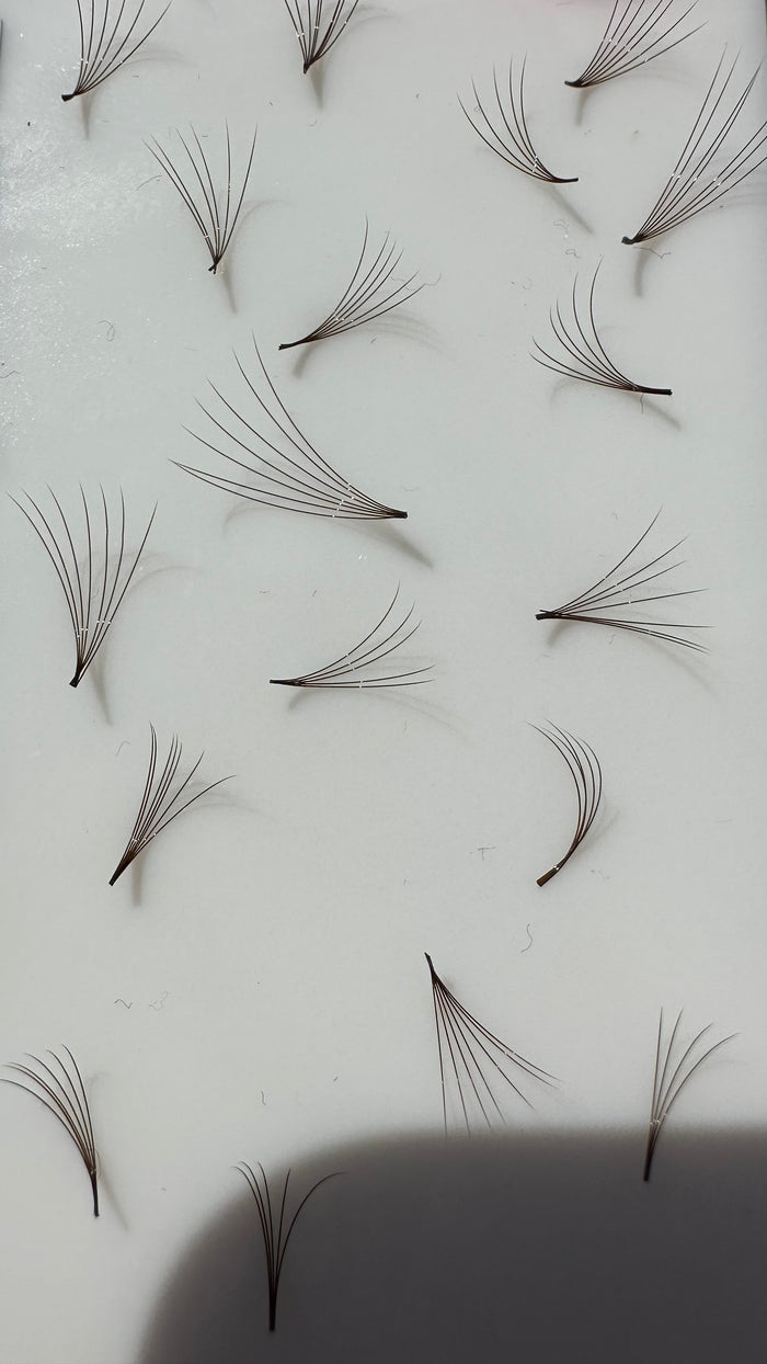 BROWN Lashes