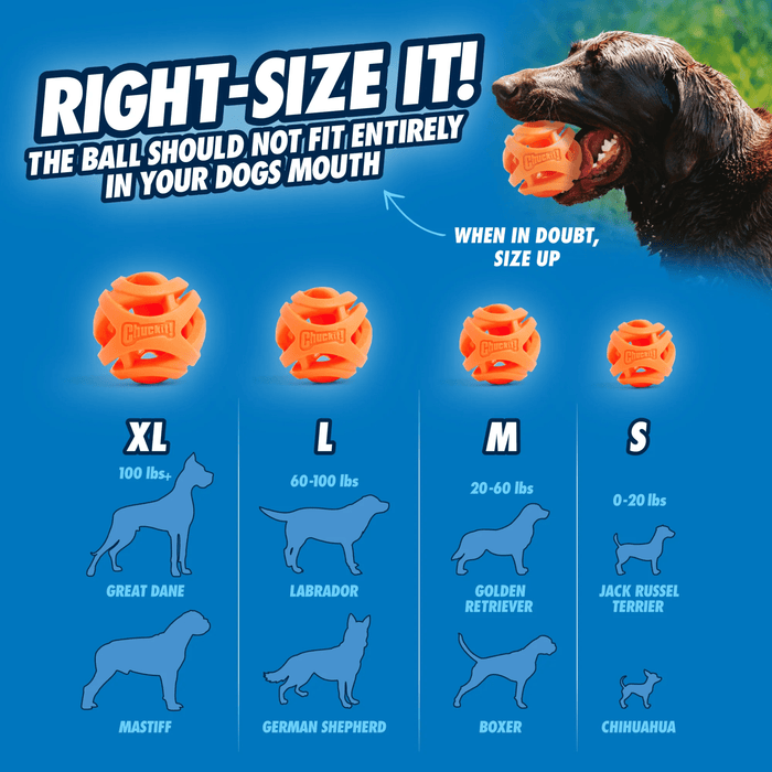 Blue background with a size guide for what ball is appropriate for your dog's size. Pictured at the top of the page is a brown dog with a ball in it's mouth.