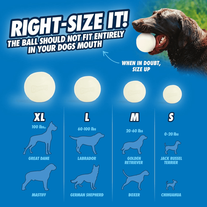 Blue background with a size guide for what ball is appropriate for your dog's size. Pictured at the top of the page is a brown dog with a ball in it's mouth.