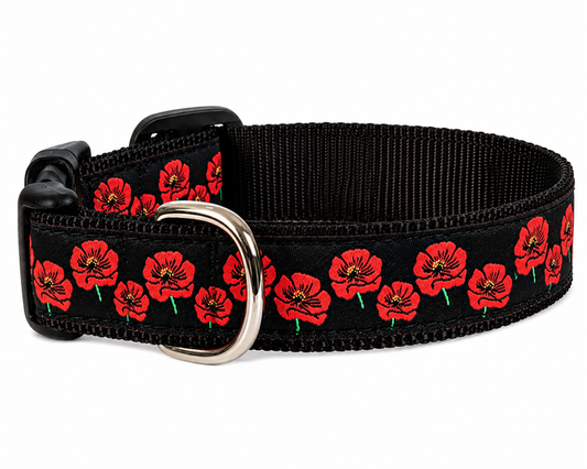 Collar | Colorado Poppies