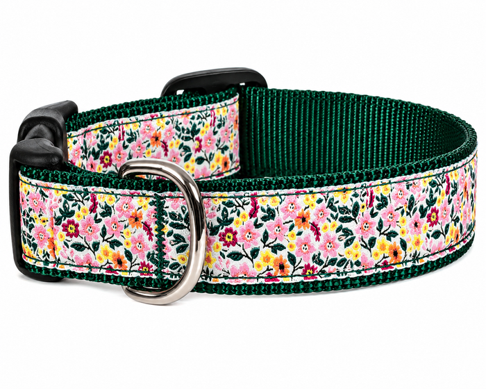 Collar | Flower Garden