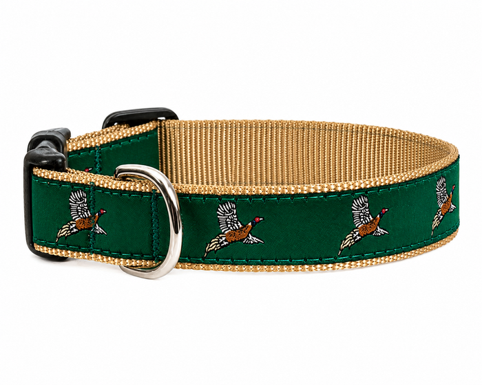 Collar | Pheasant