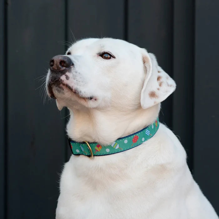 PICKLEBALL-DOG-COLLAR