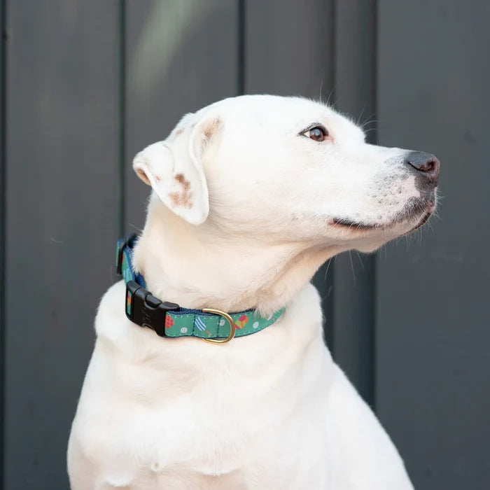PICKLEBALL-DOG-COLLAR