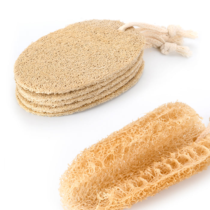 Eco-Friendly Kitchen Cleaning Set – Zero Waste Bamboo Dish Brushes & Natural Sponges | Plastic-Free & Compostable - Gaia Guy