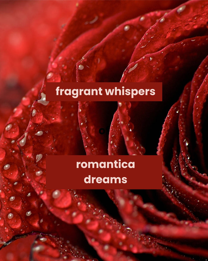 Hand and body lotion fragrance graphic with red rose petals close-up