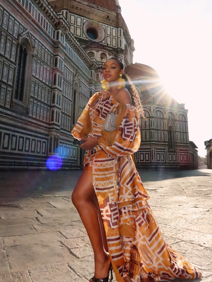 Fabrosanz: Brown Tshwane Union Print Organdy Dress