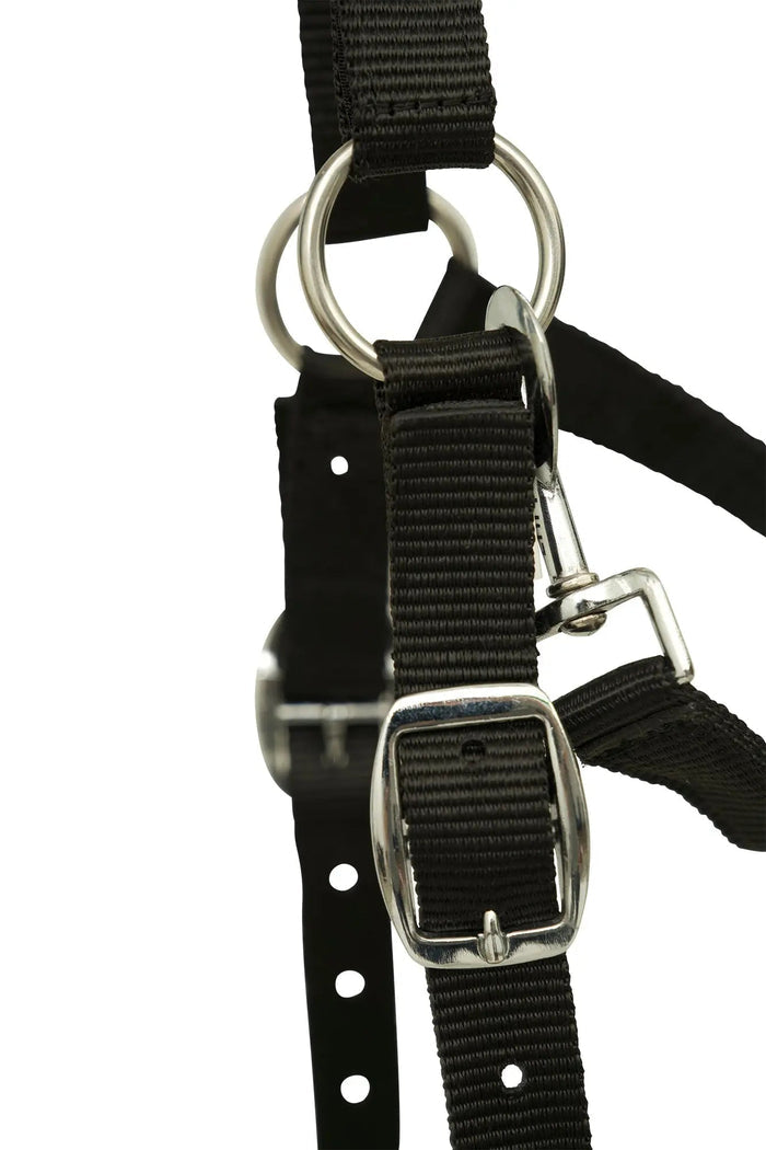 Huntley Fleece Padded Nylon Grazing Muzzle, Black