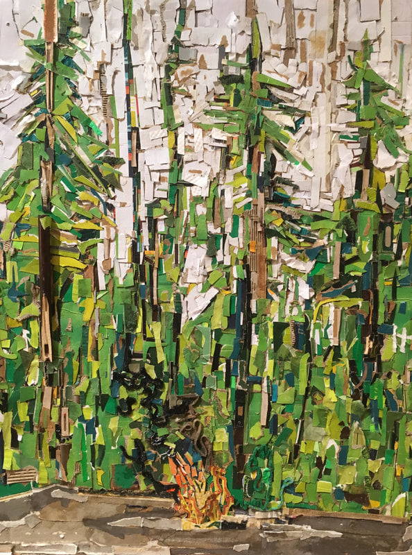 Humboldt Redwoods