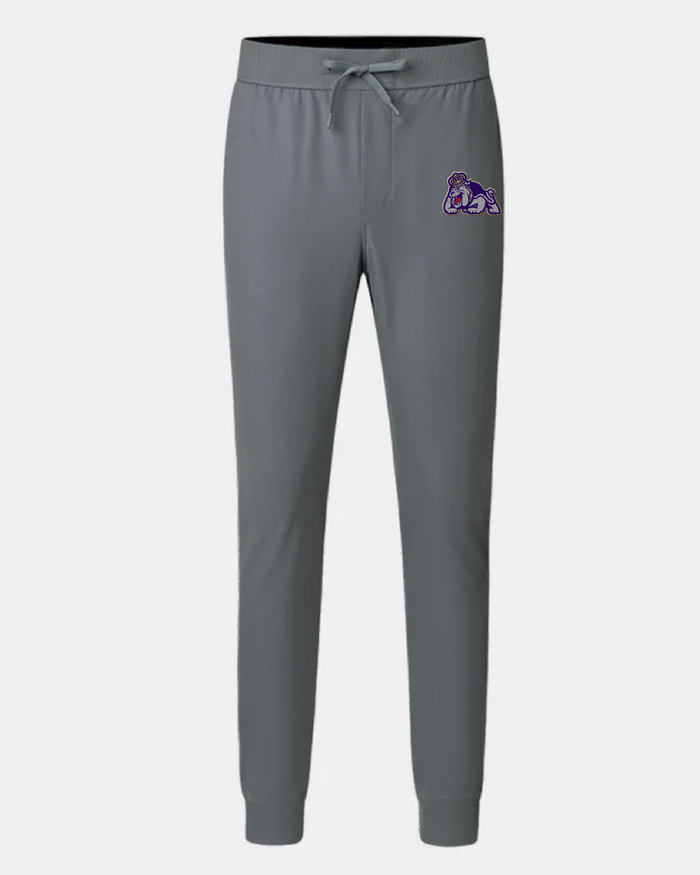 Gray sweatpants with a logo on a white background