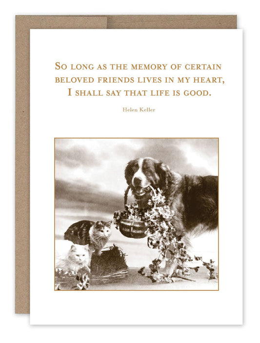 Life Is Good Pet Sympathy Card