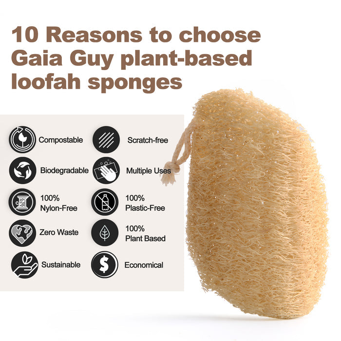 Natural Dish Sponge Value Pack, Loofah Kitchen Scrubber Scouring Pad (Plastic-Free, Nylon Free) 6 + Bonus 4 Pack! - Gaia Guy